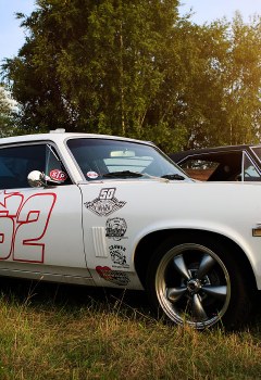 race61_2015-2017_035
